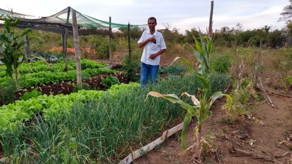 Lavrar a terra, plantar e produzir é o que desejam 120 famílias de Bonfinópolis