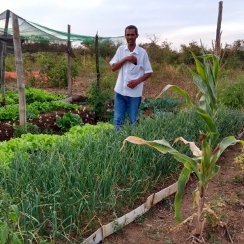 Lavrar a terra, plantar e produzir é o que desejam 120 famílias de Bonfinópolis