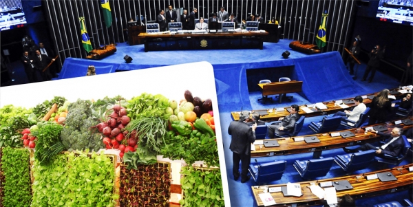 Medida Provisória que trata da renegociação de dívidas rurais é aprovada no Senado Federal