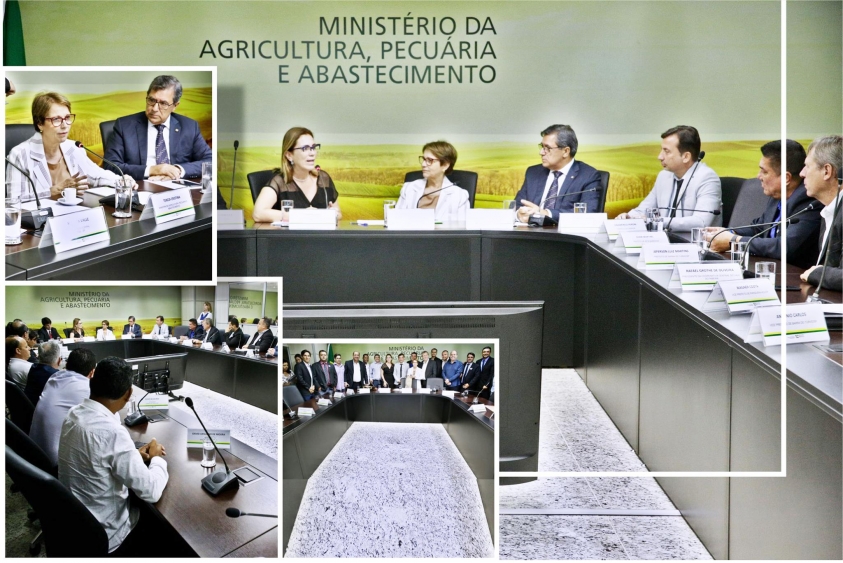 Presidente Vilson cobra maior atuação do Ministério da Agricultura em apoio a agricultura mineira