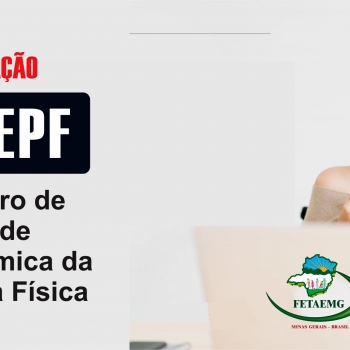 Fetaemg promove capacitação para o CAEPF