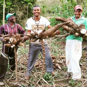 Mudanças no Pronaf beneficiam cooperativas da agricultura familiar