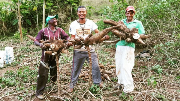 Mudanças no Pronaf beneficiam cooperativas da agricultura familiar