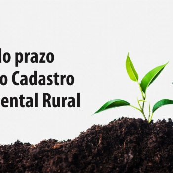 Fim do prazo o Cadastro Ambiental Rural