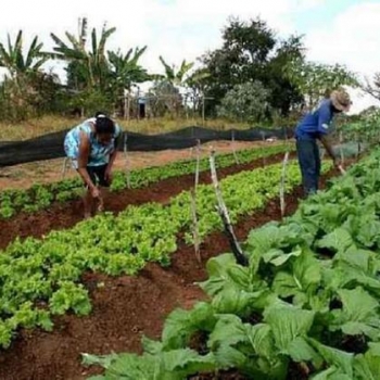 Portaria do Incra prorroga prazos para assentados(as) da Reforma Agrária