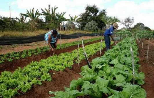 Portaria do Incra prorroga prazos para assentados(as) da Reforma Agrária