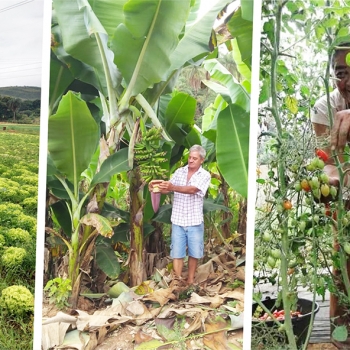 Aprovada alteração da Lei do Programa de Alimentação Escolar – Matéria segue para sanção presidencial