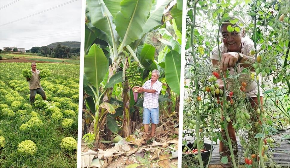 Bolsonaro impede a inclusão de agricultores(as) familiares não cadastrados no CadÚnico ao auxílio emergencial