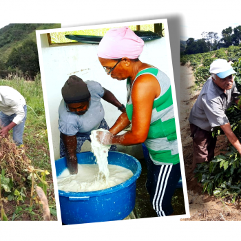 Plano Safra 2020/2021 – Somente 14% dos recursos para Agricultura Familiar