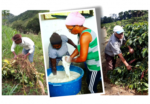 Plano Safra 2020/2021 – Somente 14% dos recursos para Agricultura Familiar