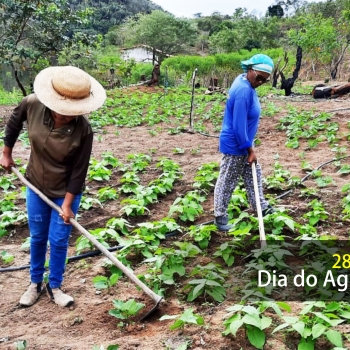 Dia do Agricultor (a) Familiar: reflexões e desafios