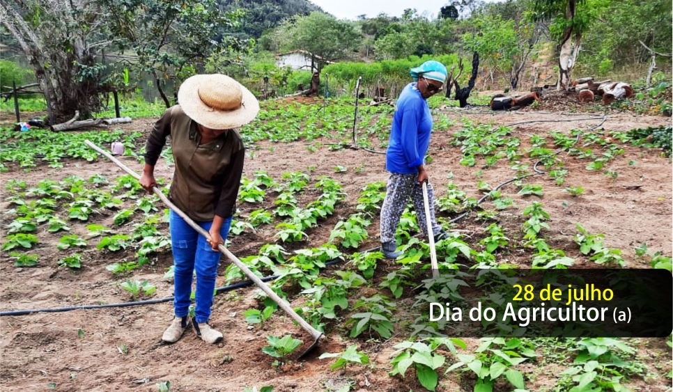 Dia do Agricultor (a) Familiar: reflexões e desafios