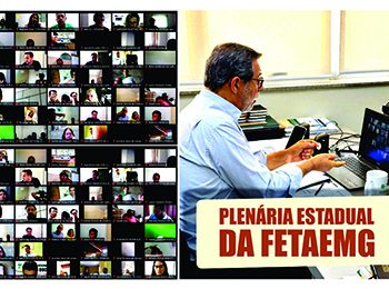 Plenária Estadual da FETAEMG